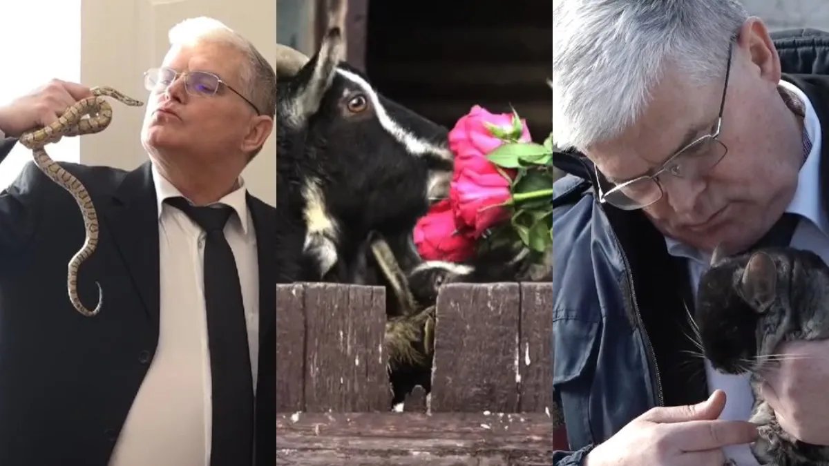 Влюблённый в шиншиллу: директор Одесского зоопарка взбудоражил новым клипом ко Дню Валентина