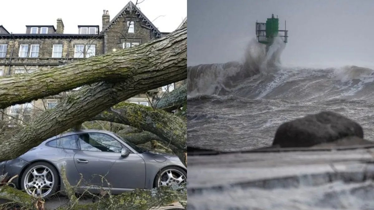Аномальний вітер, повалені дерева, знеструмлені будинки: на півночі Європи вирує шторм "Отто"