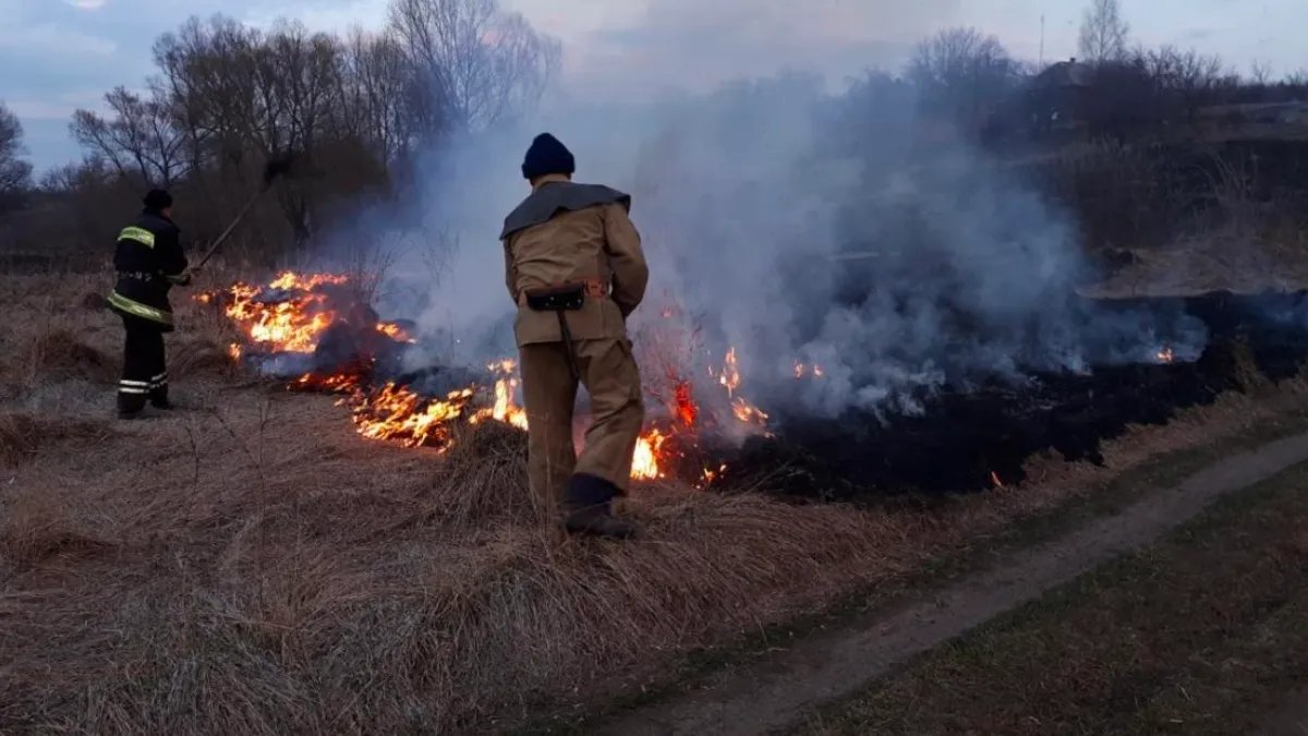 В Одесской области женщина упала в горящий мусор на собственном дворе и погибла