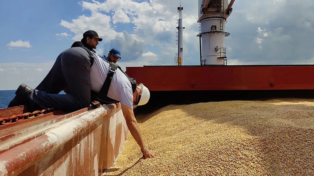 Турция блокирует импорт зерна из Украины