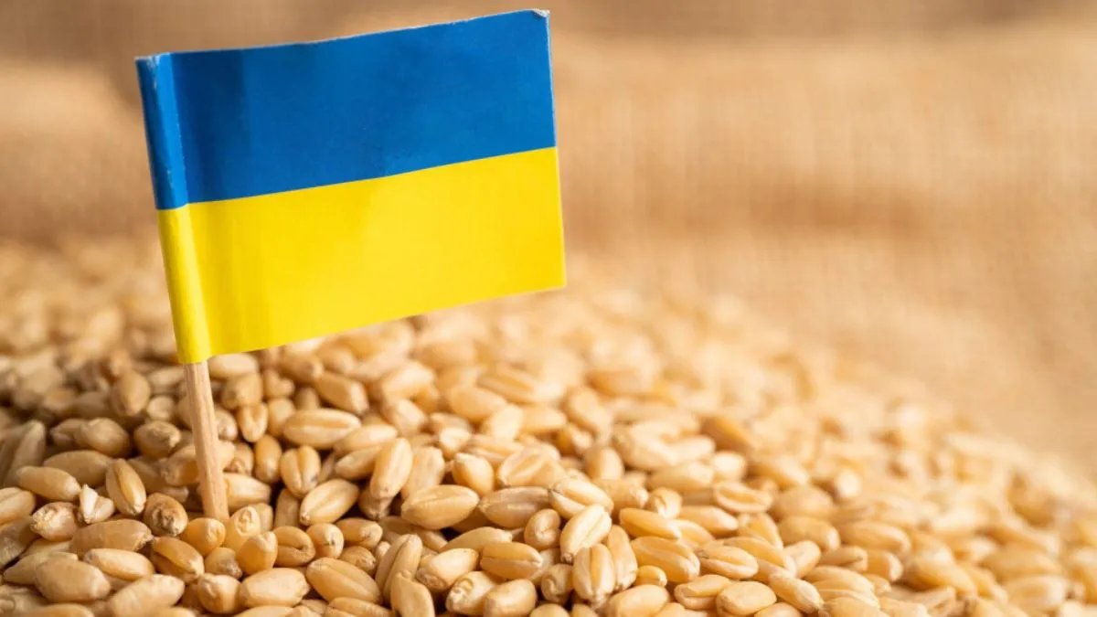 Українське зерно