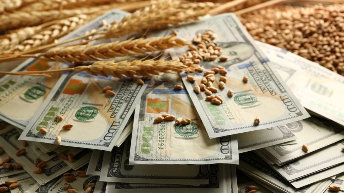 Зерно и доллары