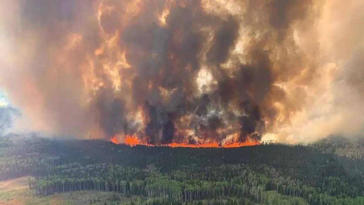 У Канаді горить ліс