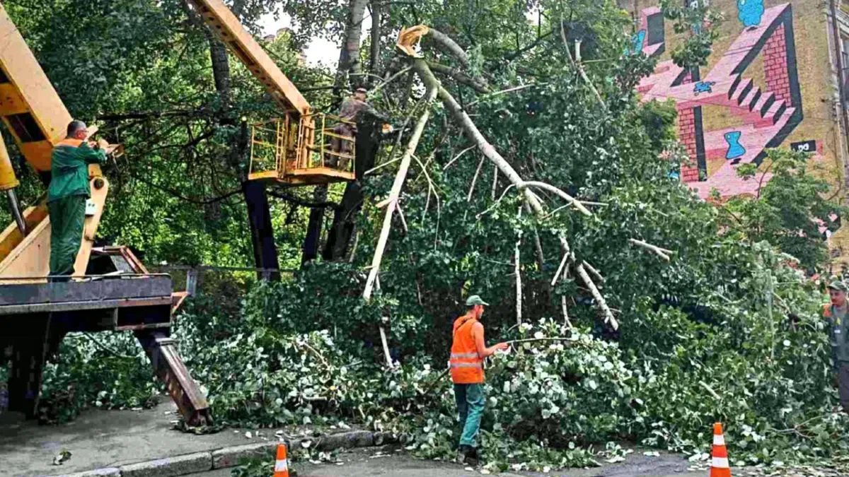 В Киеве ненастье ломает деревья