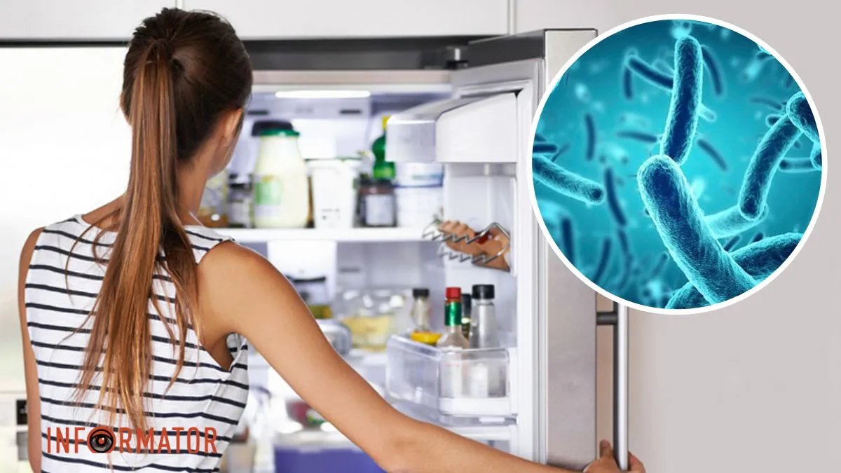 Холодильник та мікроби