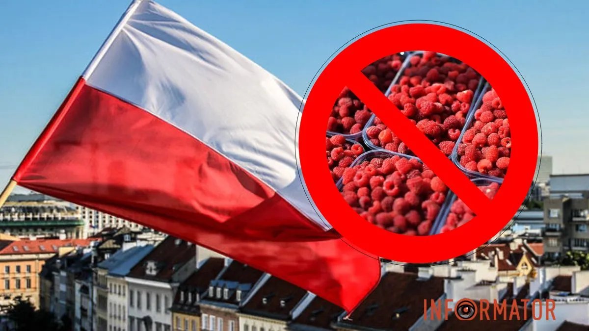 Польща, ринок малини, заборона Польщі, полуниця