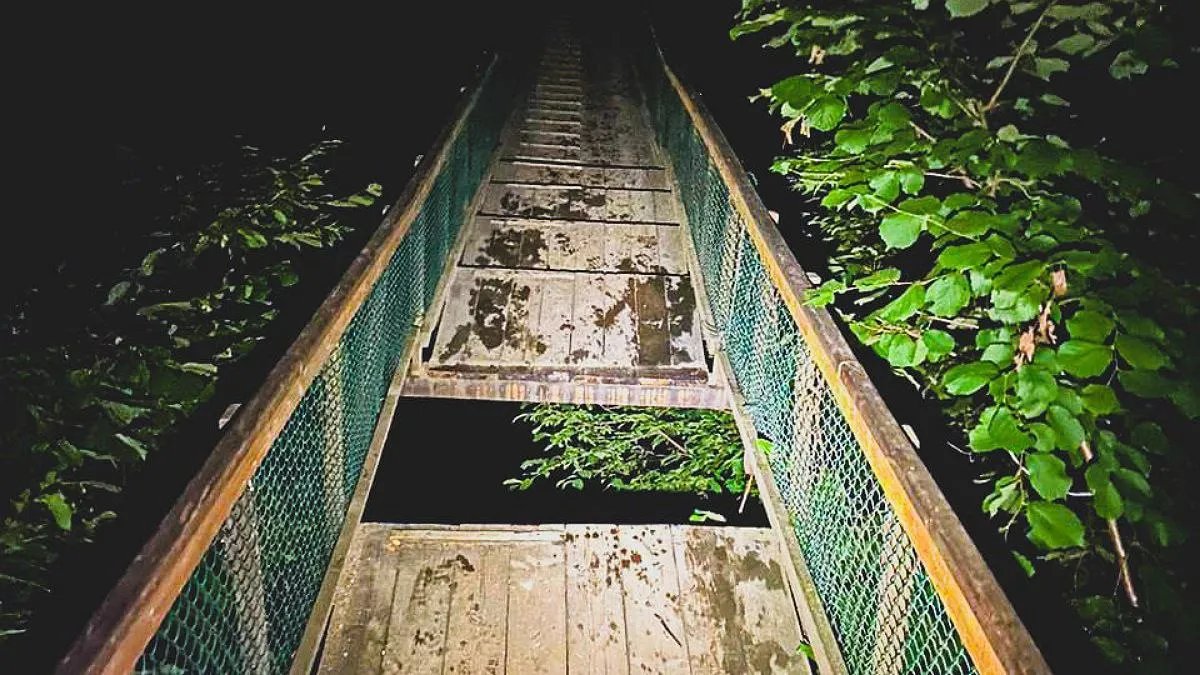 Обвал мосту на Закарпатті