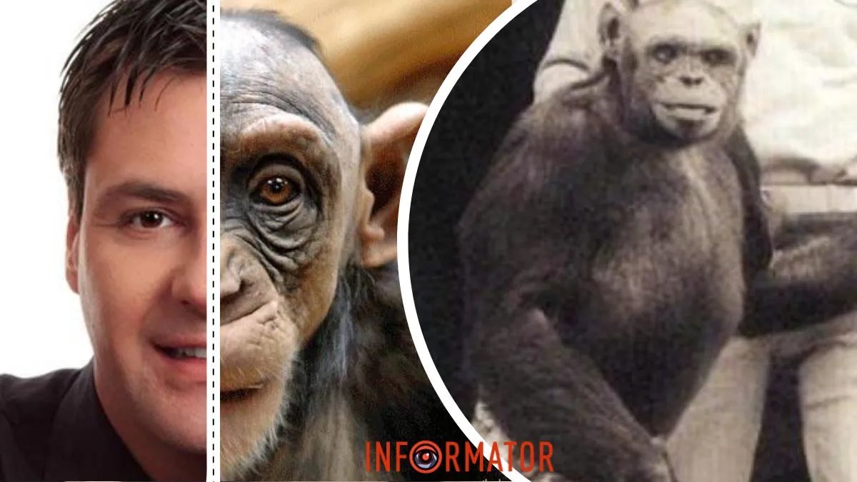 Людина та шимпанзе