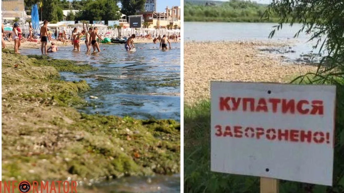 В Киеве на 14 пляжах запрещают купаться из-за грязной воды - где есть опасность