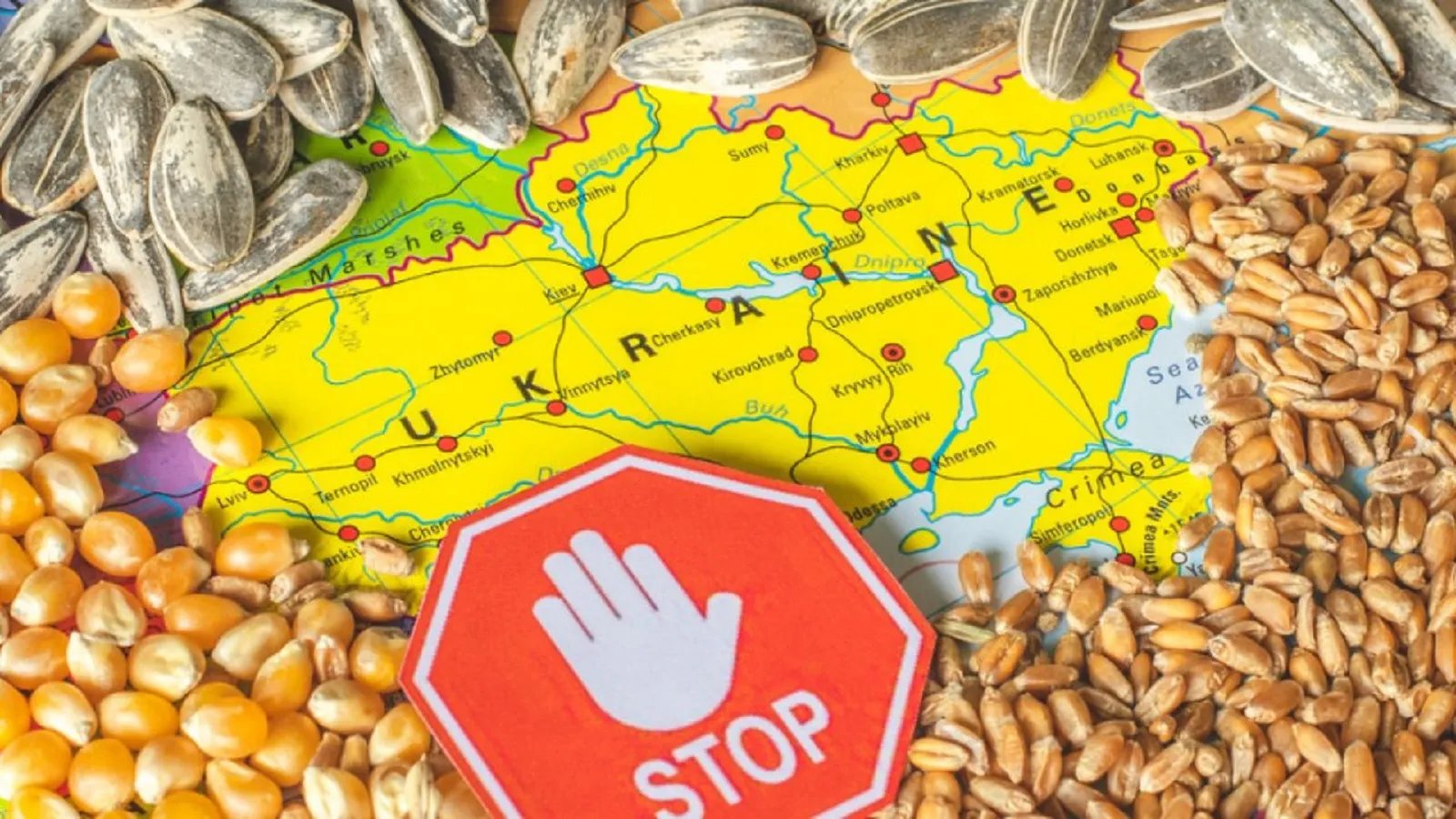 Украина будет судиться со странами ЕС из-за запрета импорта украинского зерна