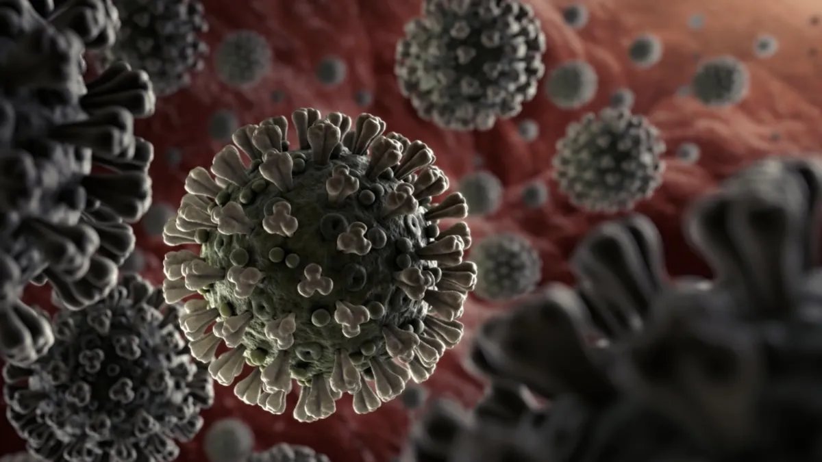 "Довгий" коронавірус здатен нашкодити кільком органам - учені розповіли про загрози нового виду COVID-19