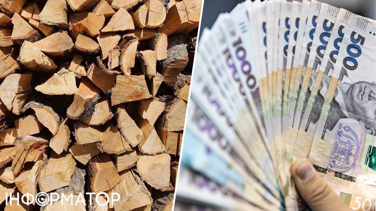 Кто в Украине может вернуть себе деньги, потраченные на дрова для отопления дома, и как это сделать