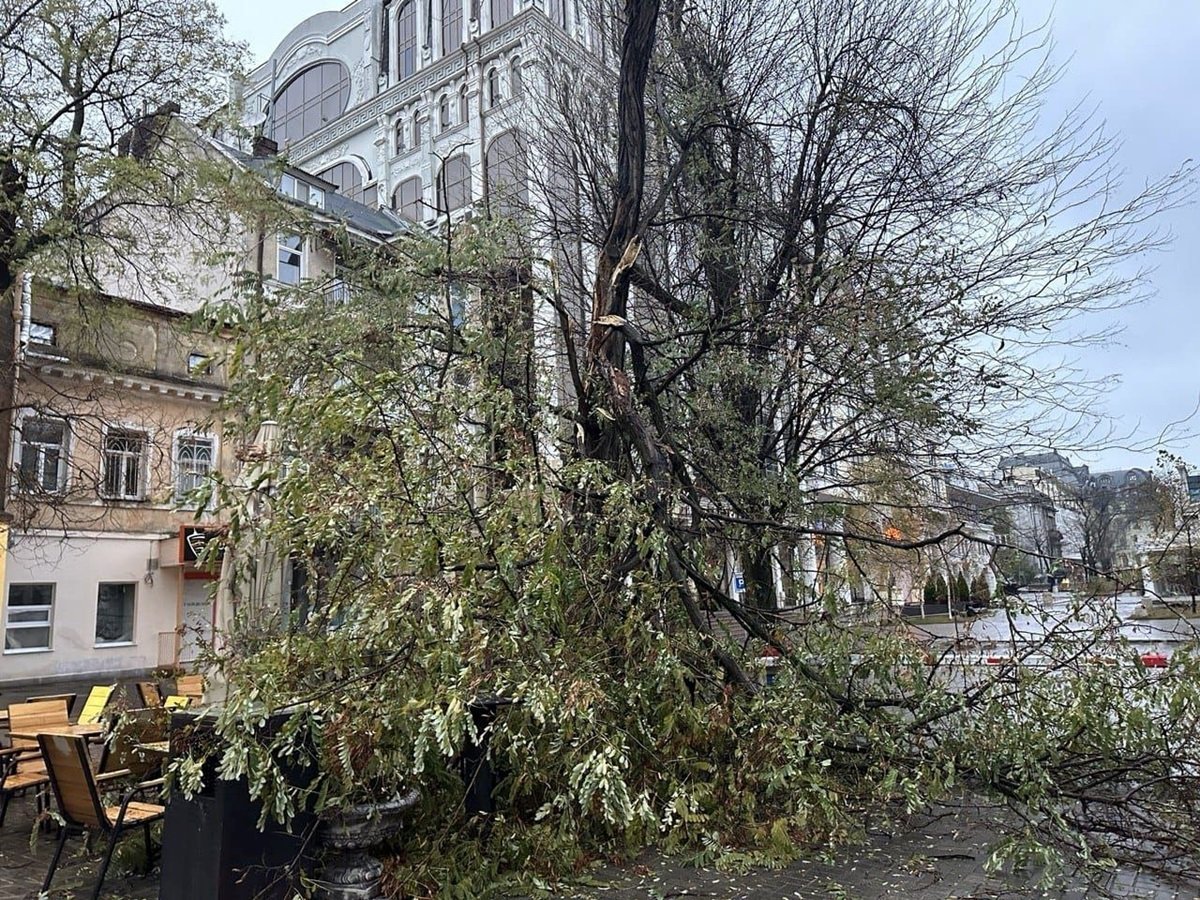 Поваленные деревья, сорванные крыши и снег - по Одессе пронесся мощный  ураган - фото