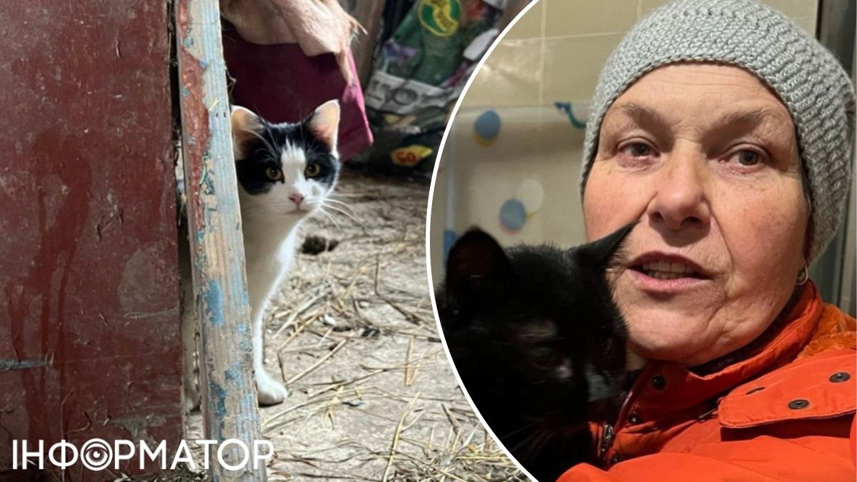 В Калуше женщина самостоятельно строит приют для кошек