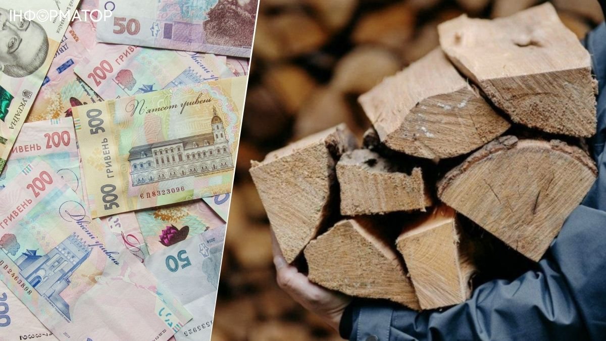 У ПФУ пояснили, що потрібно зробити для отримання субсидії на дрова