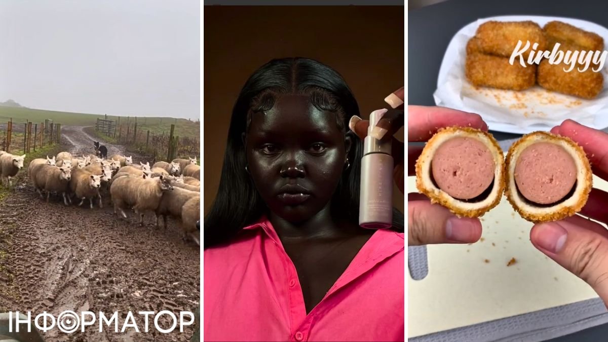 Собака - пастух против чернокожего макияжа: видео, которые разорвали TikTok в 2023 году