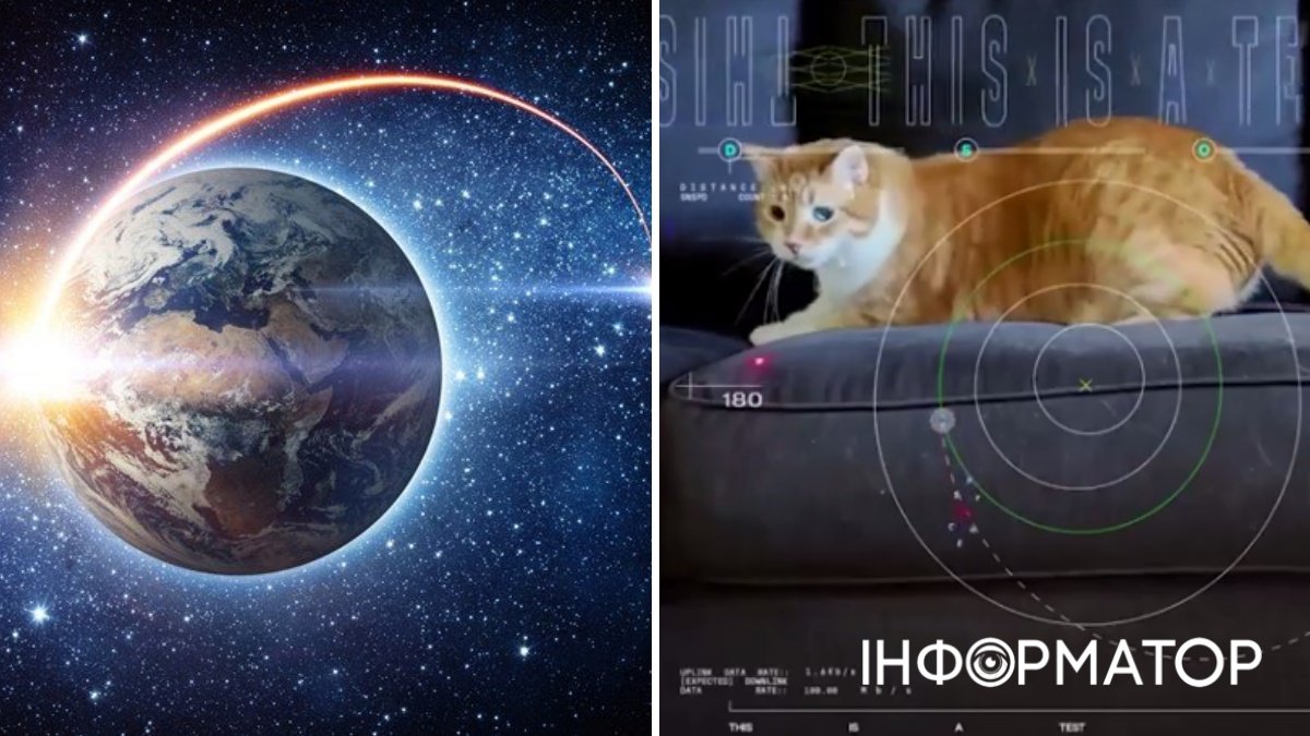 NASA передало из космоса видео с котиком: оно прошло 31 млн километров с помощью лазера