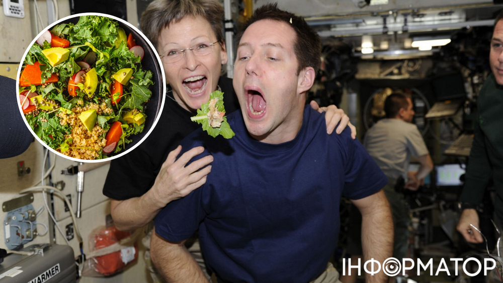 Найдено идеальное блюдо для космонавтов: нужны всего лишь семь продуктов