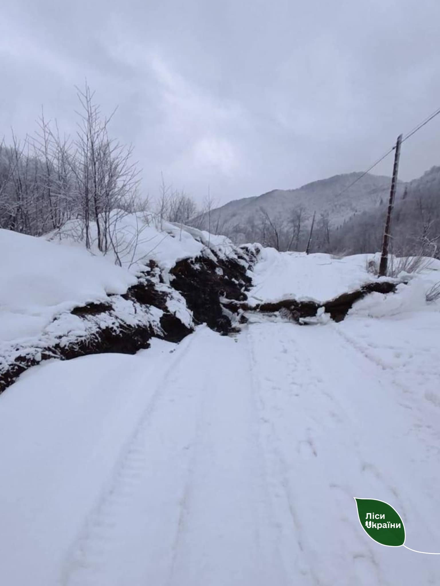 На Закарпатті стався масштабний зсув ґрунту: є постраждалі домогосподарства 1