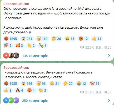 Залужного зняли з посади Головнокомандувача ЗСУ - екснардеп Береза 1