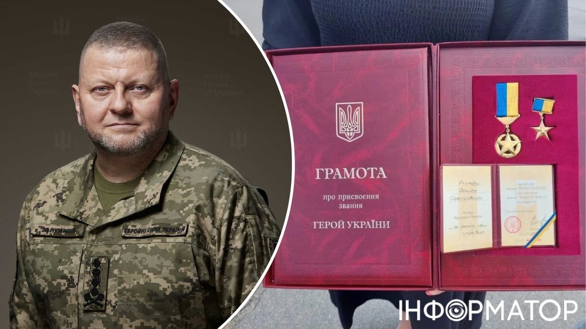 Залужный, Герой Украины, награда