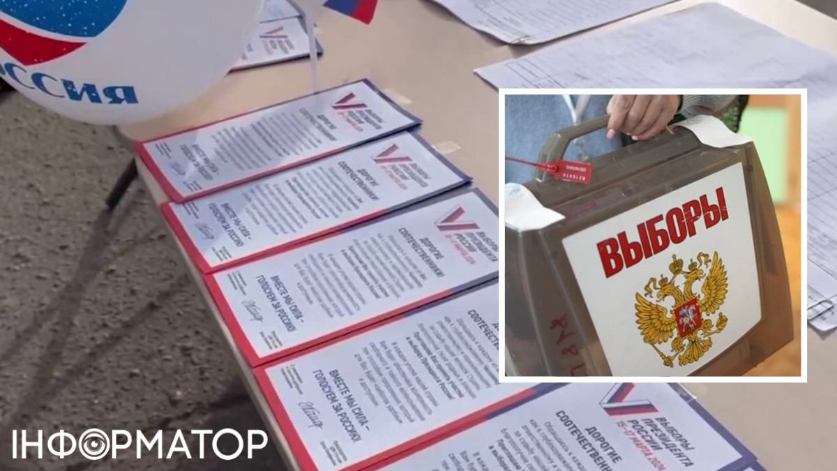 выборы в РФ
