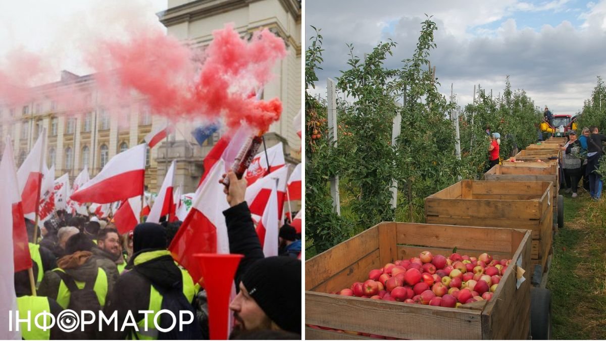 протести польських фермерів, продукти