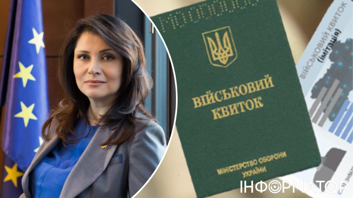 Ірина Фріз, законопроєкт про мобілізацію