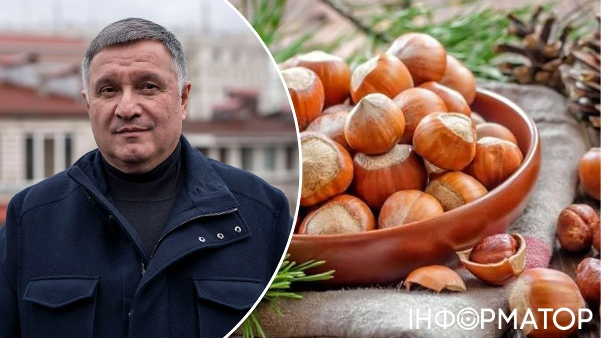 Золотые орешки Авакова: экс-глава МВД занялся бизнесом в Закарпатье