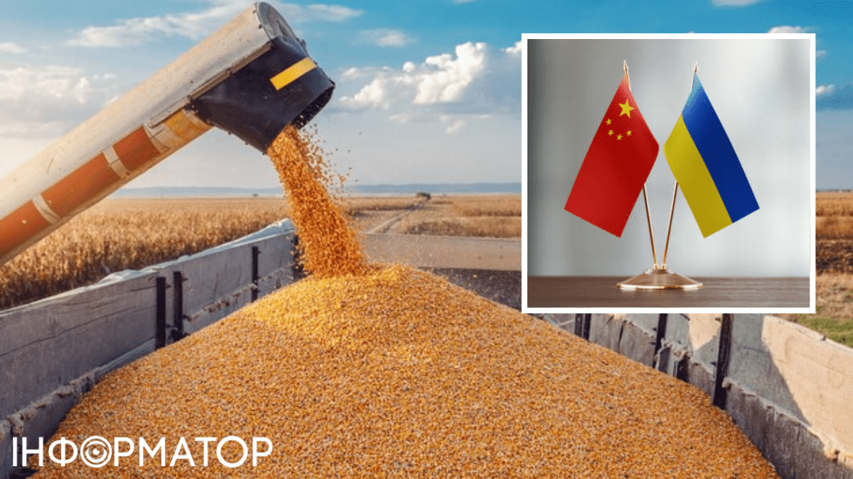 Китай отказался от украинской кукурузы – Bloomberg раскрыл причины