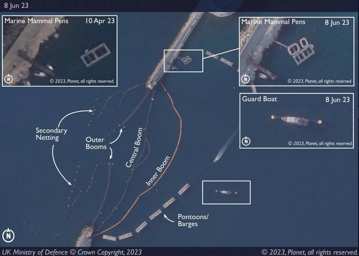 На супутникових знімках видно, що біля Севастополя кількість дельфінів збільшилась у 2 рази