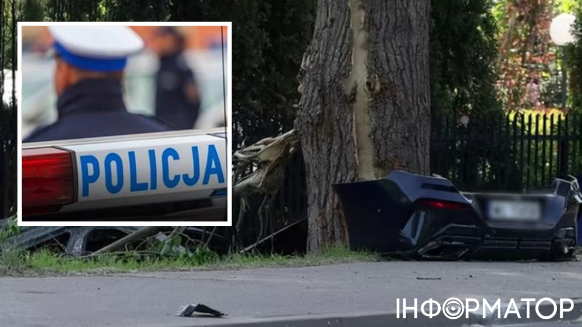 В Польше в ДТП погибли двое украинцев: автомобиль влетел в дерево и загорелся (видео)