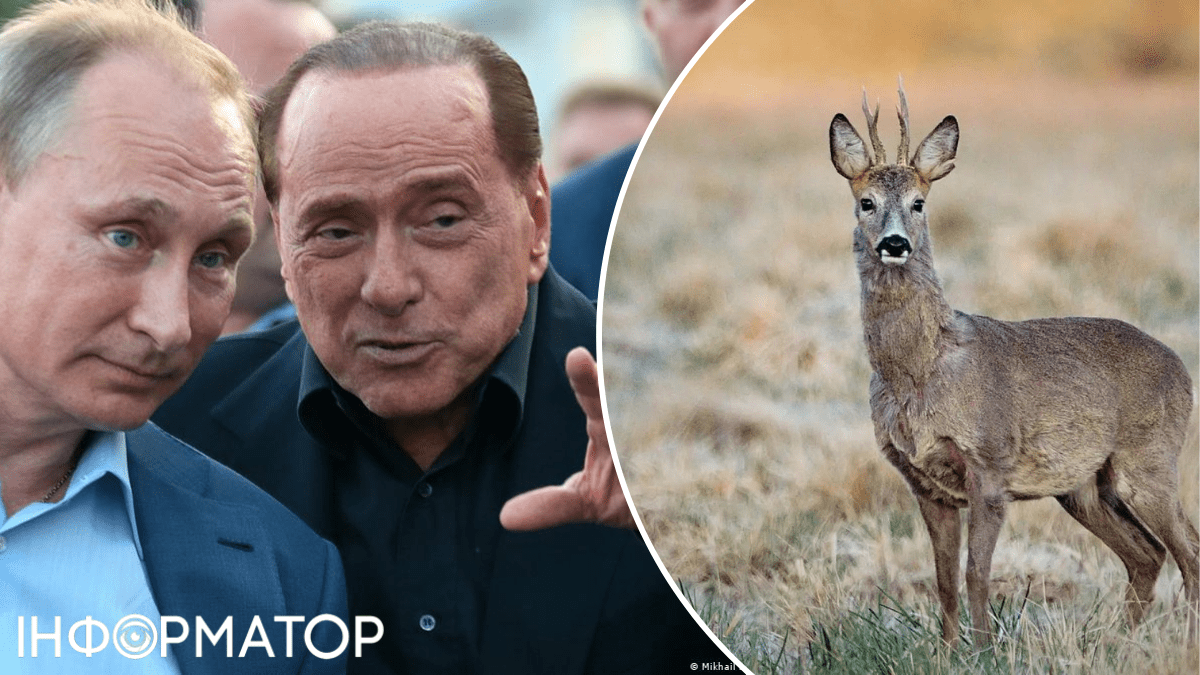 ЗМІ: Путін з задоволенням вбив оленя, відразу вирізав серце та нагодував ним Берлусконі