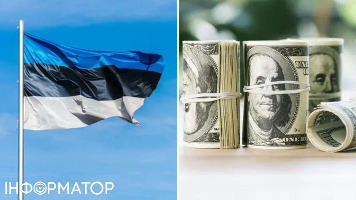 Эстония первой в мире планирует использовать замороженные активы России в пользу Украины