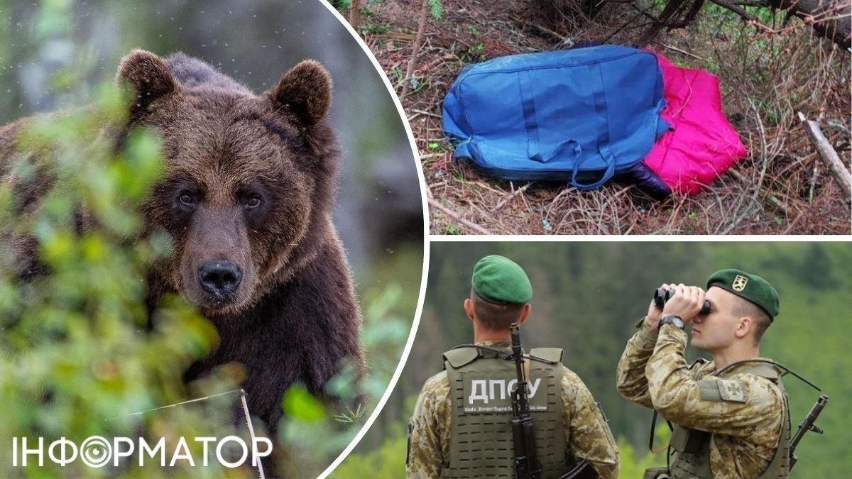 Кордон охороняють ведмеді: ДПСУ попередила ухилянтів про смертельну небезпеку