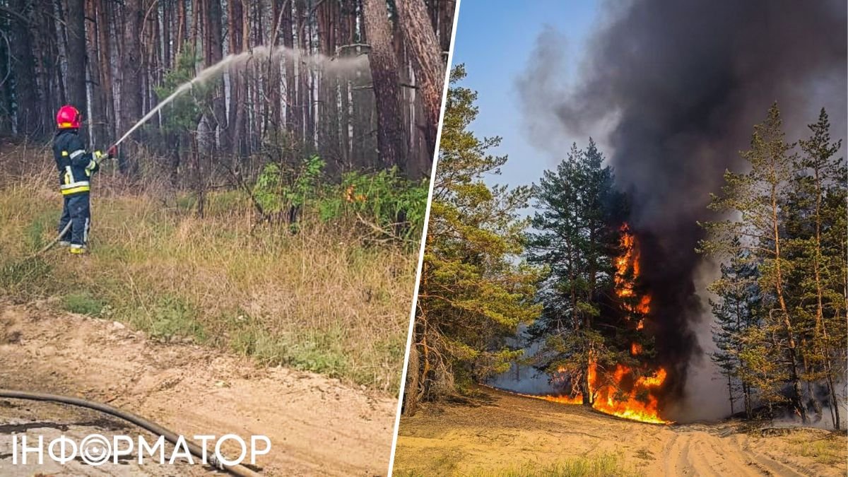Лесные пожары на Харьковщине