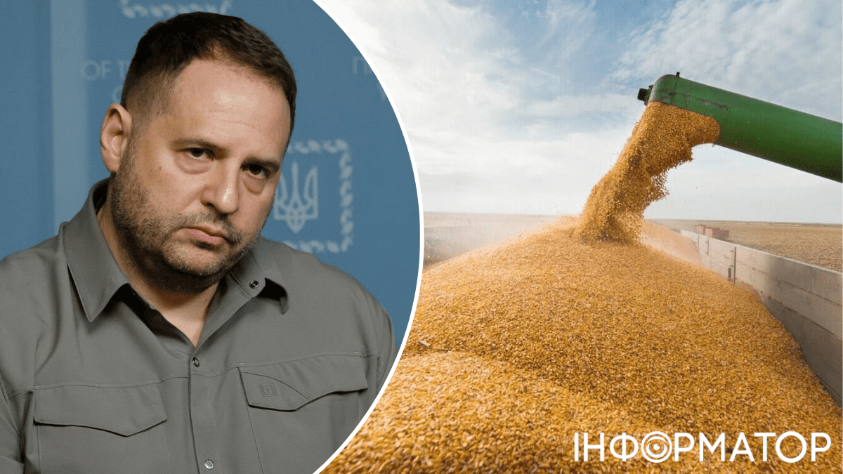 Grain From Ukraine