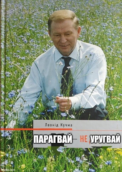 Українська блогерка зганьбилась, порівнявши війну в Україні та Парагваї: мережа відповіла мемами 1