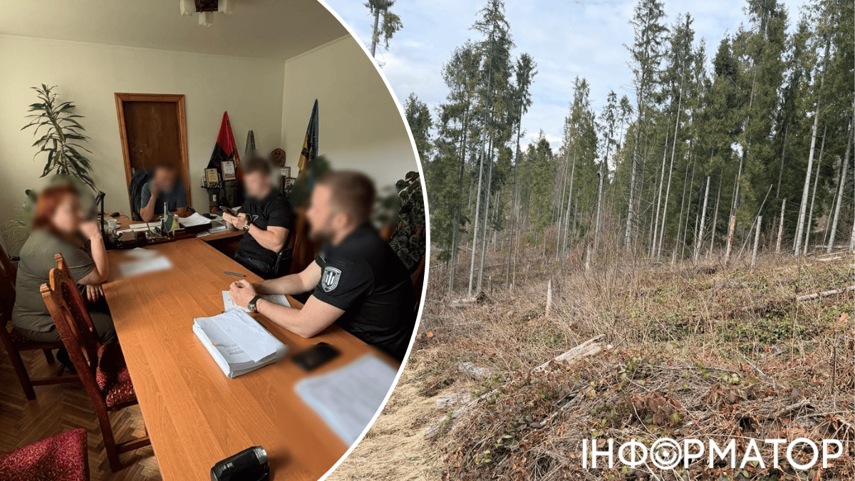 На Львівщині посадовцям лісгоспу оголосили підозру за знищення понад 20 тисяч дерев у Карпатах - Нацполіція