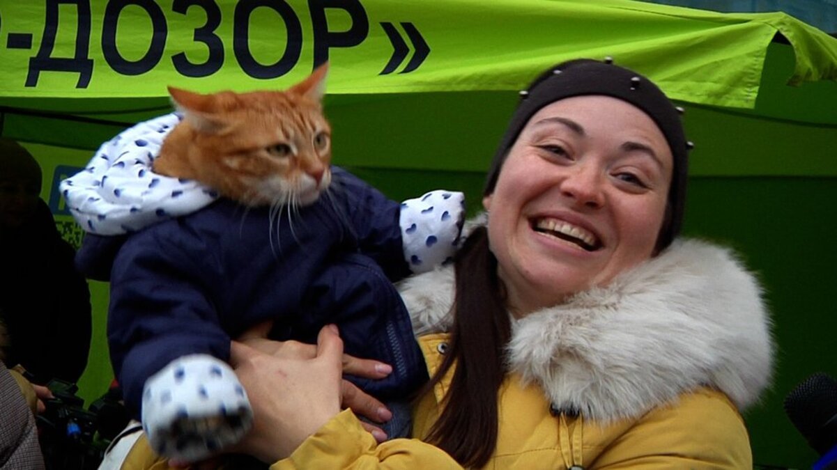 В Украине кот Микки установил национальный рекорд: он выходит гулять в детской коляске