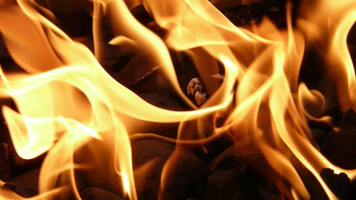 У Харкові поліція спалила майже пів тонни наркотиків та зняла це на відео