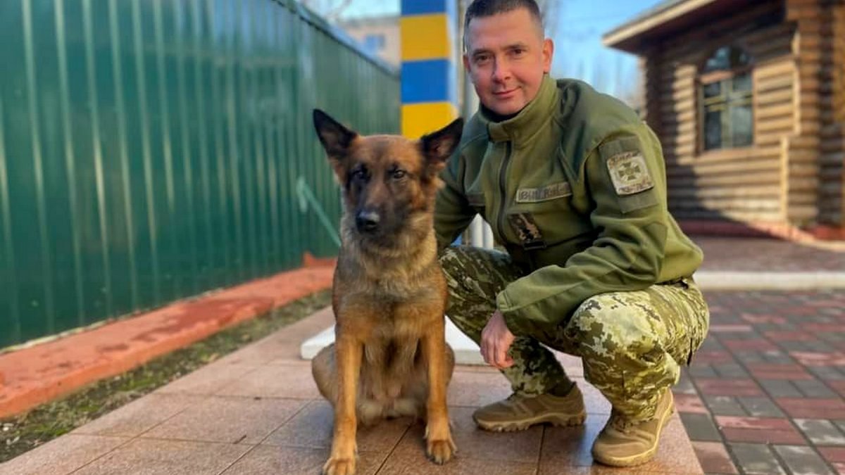 Знает, чей Крым, и кто такой Путин: собака-пограничник из Украины набирает миллионы просмотров в TikTok