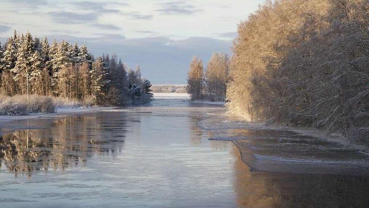 В Черкасской области около 200 рыбаков унесло на льдине от берега