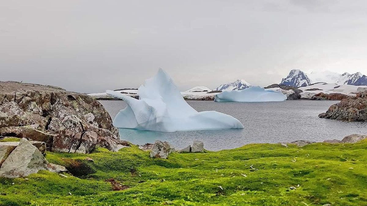 В Антарктиде установили новый температурный рекорд