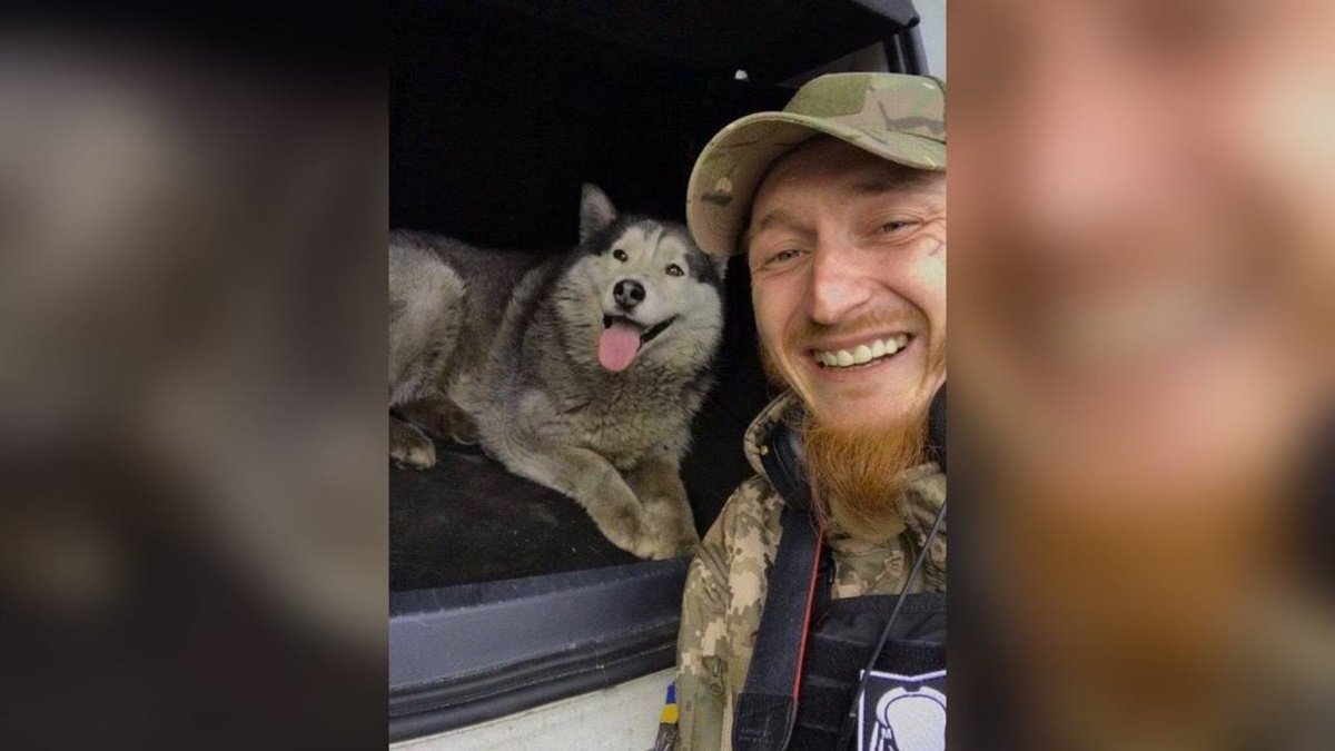 Патрульный из Киева забрал домой собаку, которую нашёл в одном из расстрелянных оккупантами авто