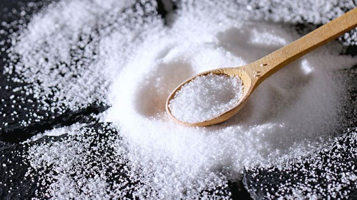 На Закарпатье будут добывать соль для всей страны: когда будет первая партия