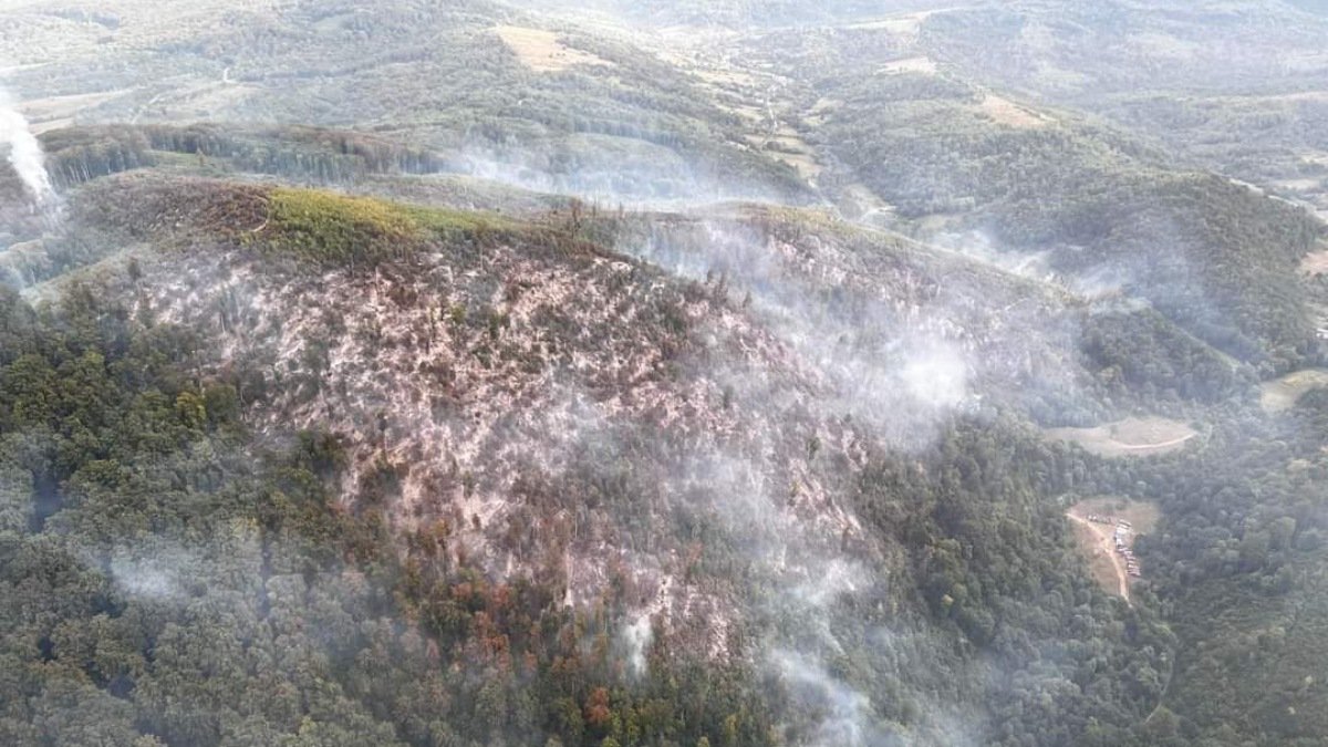 На Закарпатті спалахнули лісові пожежі: вогонь не вдається загасити вже третій день