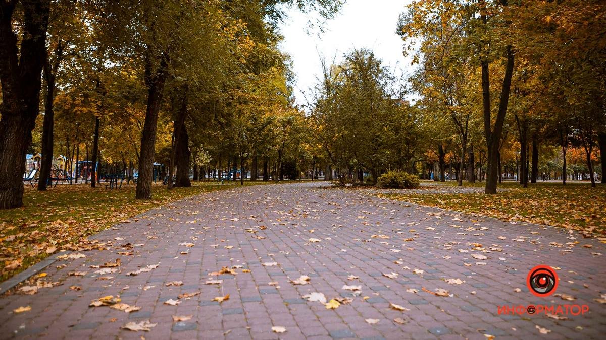 Дощ і до +20 тепла: прогноз погоди в Україні 9 жовтня