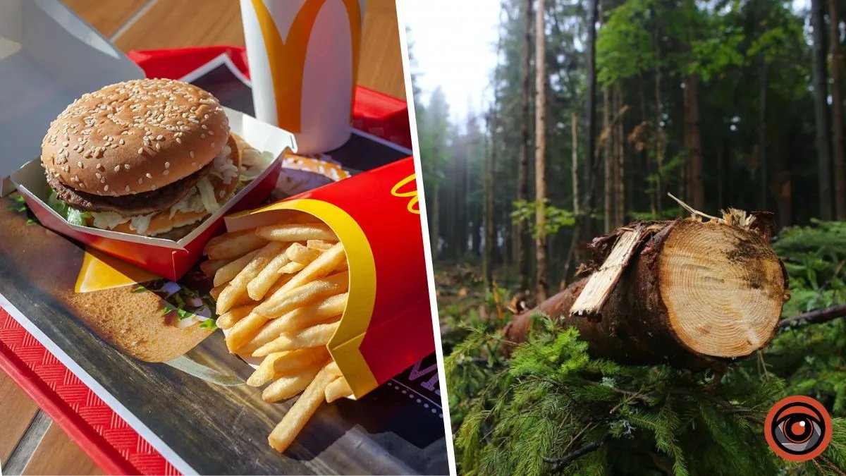 Петиция против McDonald`s в Украине набрала более 4 тысяч голосов: почему не все ждут бургеров