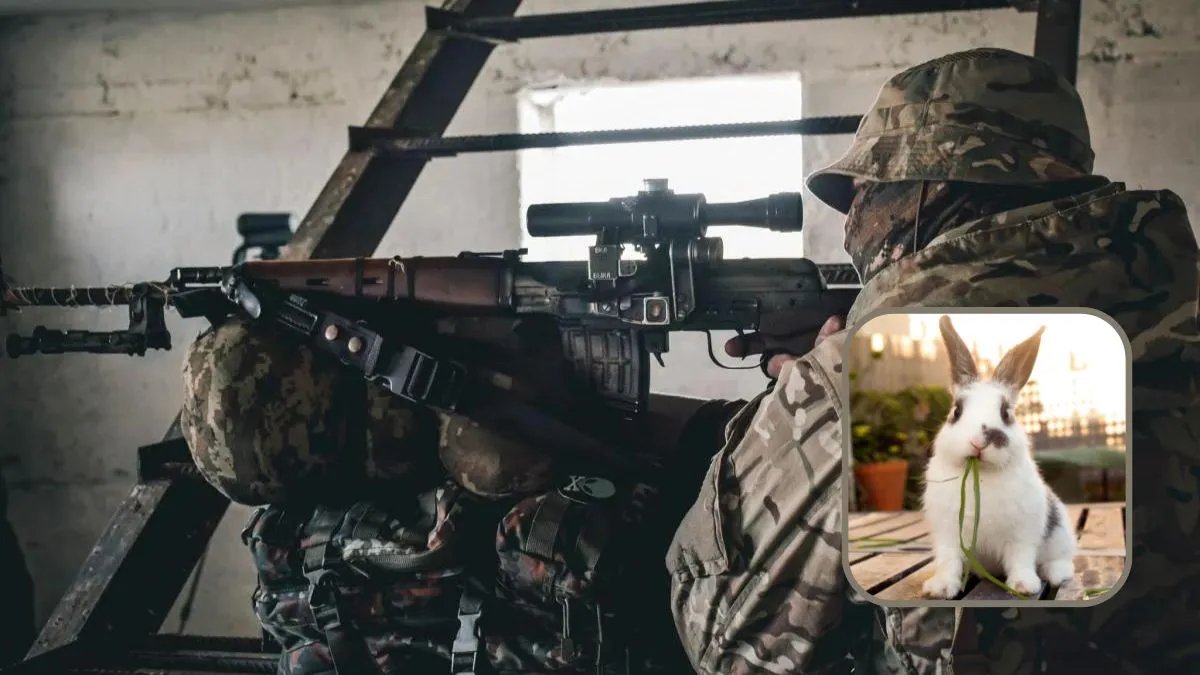 «Бойові кролі» виманили росіян під приціл українських снайперів